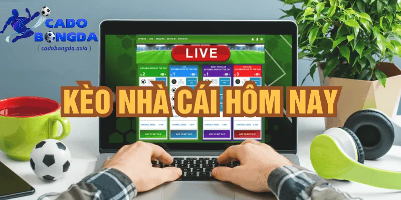 Tỷ lệ kèo nhà cái đưa ra là gì? Đánh giá tỷ lệ kèo do nhà cái đưa ra