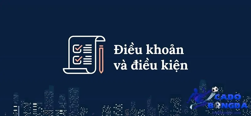 Tổng quan về điều khoản điều kiện Đôi nét về điều khoản điều kiện