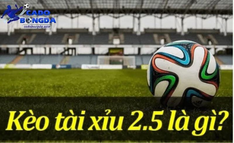 Tổng quan kèo tài xỉu 2.5 là gì? Kèo tài xỉu 2.5 là gì?