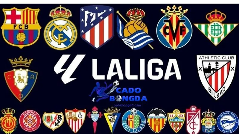 Tổng quan nhận định kèo nhà cái La LiGa cho người chơi Nhận định kèo nhà cái La LiGa cho người chơi