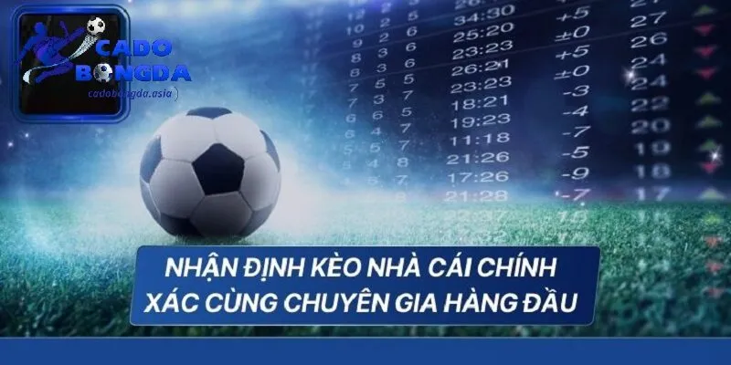 Tại sao nên tin tưởng nhận định kèo nhà cái chuyên gia? Lý do nên tin tưởng nhận định kèo nhà cái chuyên gia