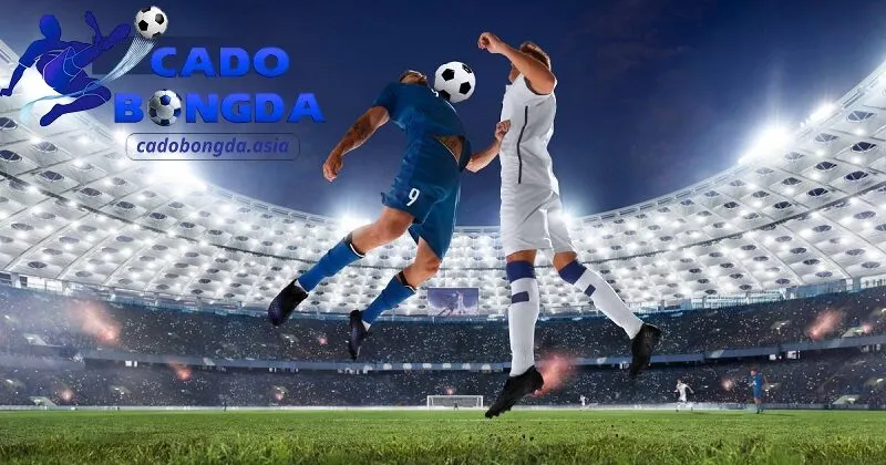 Nhận định kèo nhà cái miễn phí mới nhất Nhận định kèo nhà cái miễn phí cho người mới