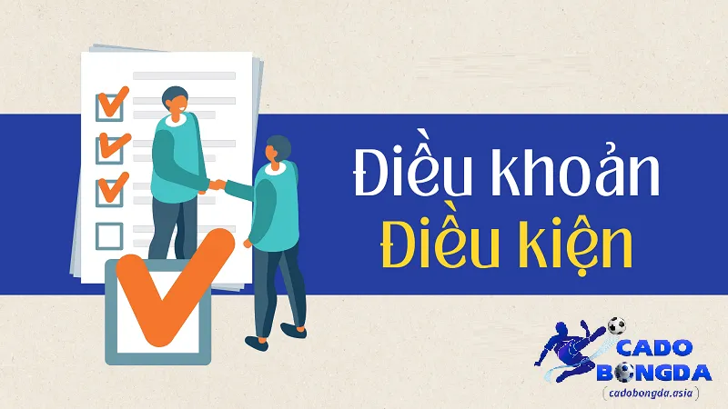 cadobongda có quyền và nghĩa vụ gì Quyền lợi và nghĩa vụ của cadobongda