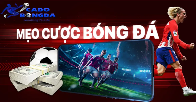 Chú ý các lỗi cơ bản trước khi đặt kèo Tránh các lỗi cơ bản trước khi đặt kèo