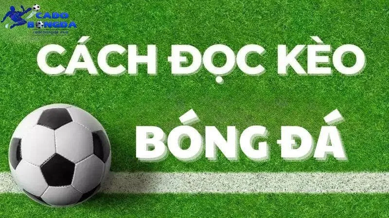 Yếu tố quan trọng trước khi đặt kèo Yếu tố then chốt trước khi đặt kèo